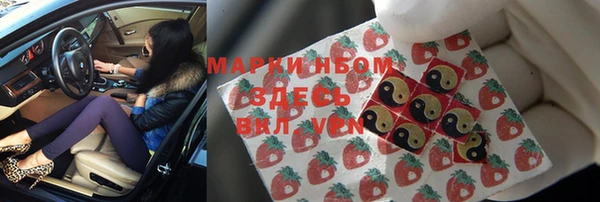 PSILOCYBIN Ельня