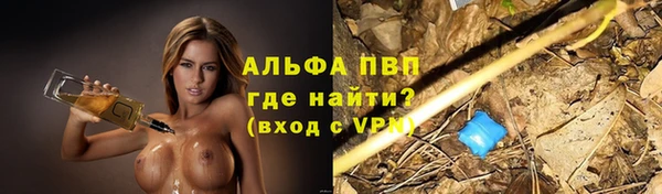 PSILOCYBIN Ельня