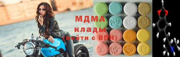 PSILOCYBIN Ельня