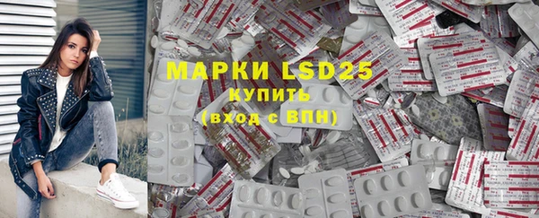 PSILOCYBIN Ельня
