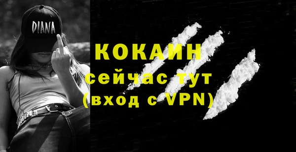 ПСИЛОЦИБИНОВЫЕ ГРИБЫ Елизово