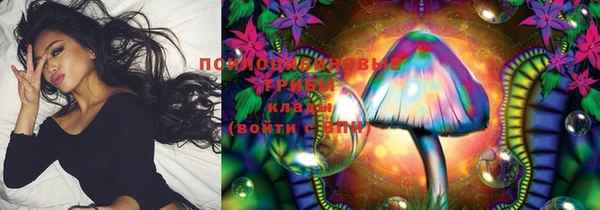 apvp Заводоуковск