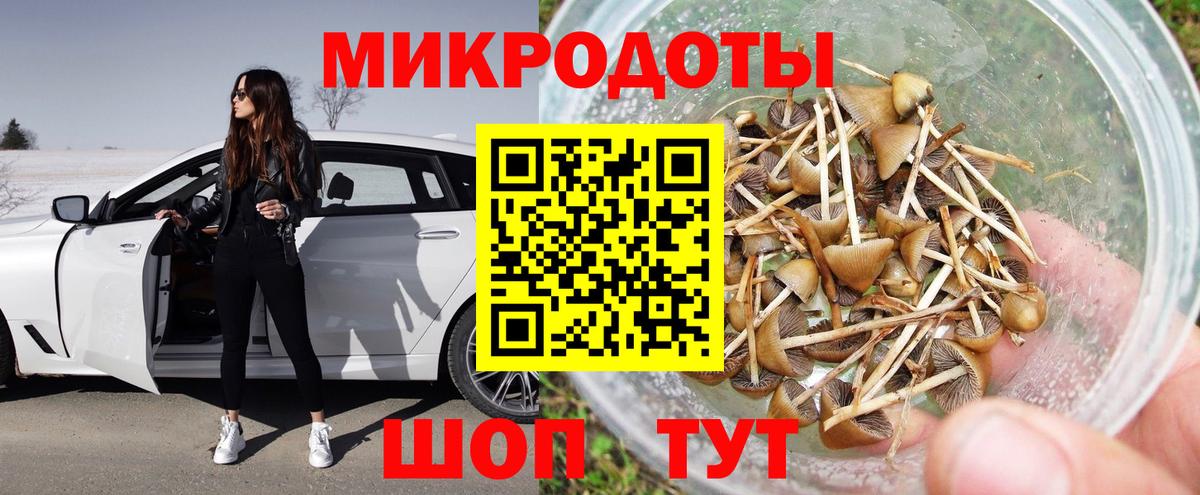 Псилоцибиновые грибы Psilocybine cubensis Сухой Лог