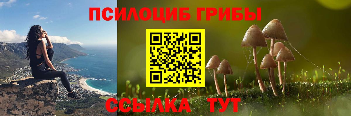 Сухой Лог  Псилоцибиновые грибы Psilocybine cubensis  Вход с VPN  Галлюциногенные грибы GOLDEN TEACHER 
